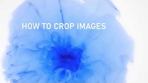 How to crop an image in PowerPoint