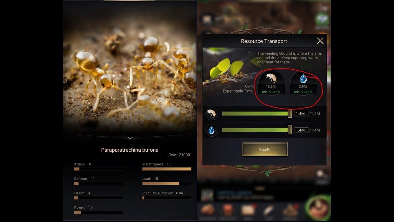 3 Quick Tips and Why you need Carrier T2 ants!