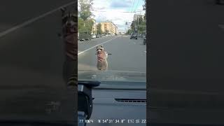 Енот продолжает уходить от погони