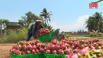 Kết nối tiêu thụ nông sản cho các địa phương