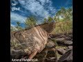 Kakadu National park, Australia. Behold the world through the lens of an AI!.