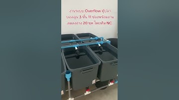 งานระบบ Overflow ตู้ปลาบอลลูน 3 ชั้น 11 ช่องพร้อมงานลมลงอ่าง 20 ชุด โดยทีม NC. 😍👍