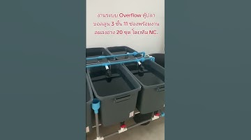 งานระบบ Overflow ตู้ปลาบอลลูน 3 ชั้น 11 ช่องพร้อมงานลมลงอ่าง 20 ชุด โดยทีม NC. 😍👍