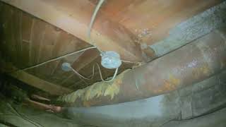 Crawlspace SW 95th Ave