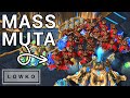 StarCraft 2: Scarlett's MASS MUTAS vs Astrea! (Best-of-3)