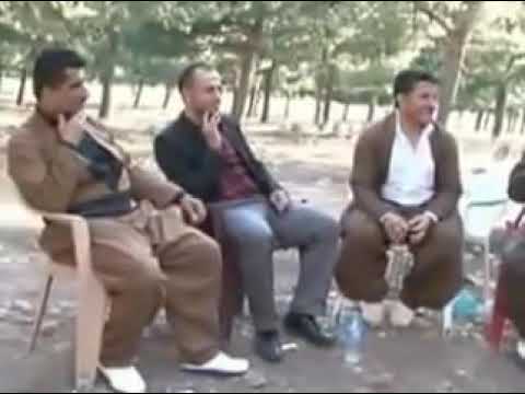 یادی سردشتی نمر 