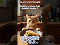 ココがぶり大根をつくるよ〜🐟️ 大根はお庭で採れたにゃ　#猫#ai猫#料理#cat#aicat #catlovers