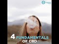 Learn the top 4 fundamentals of Cannabidiol and why CBD is the superfood of modern times.

Buy CBD oil in the UK & Europe from HopeCBD - https://hopecbd.com

__________________________________________
Video Transcript

4 Fundamentals of Cannabidiol

1. CBD is not psychoactive 

The single most important thing about CBD is that, unlike THC, it won't get you high.

2. CBD is legal almost everywhere.

Because CBD doesn't get you high, it can avoid the legal ban on marijuana.

3. CBD can come from hemp or marijuana plants.

Where CBD comes from depends on the legal status of marijuana in your particular state.

If it's illegal, your CBD most likely comes from hemp.

4. Breeders are working on crafting specialized strains.

Due to the recent demand for CBD, growers have started pursuing new strains that promote CBD production.

Will CBD become a part of your lifestyle?
