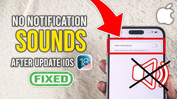 No Notification Sounds After iOS 18 Update FIXED