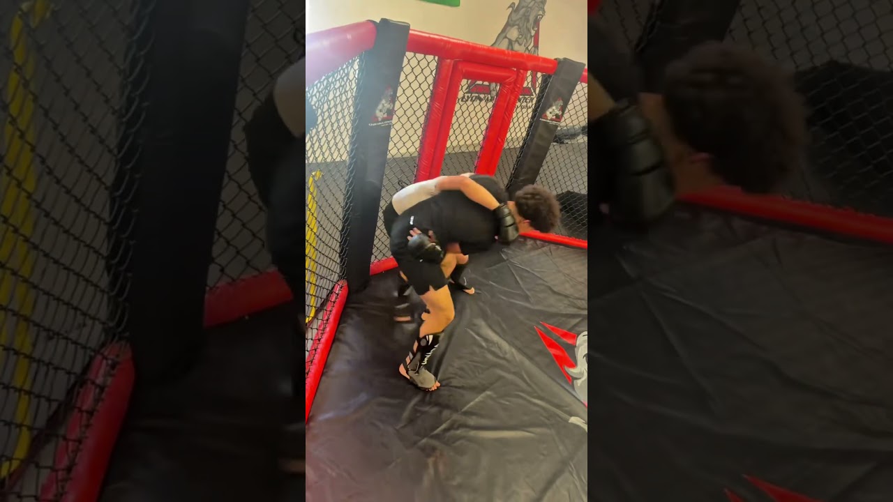 Reste la🏴‍☠️ 