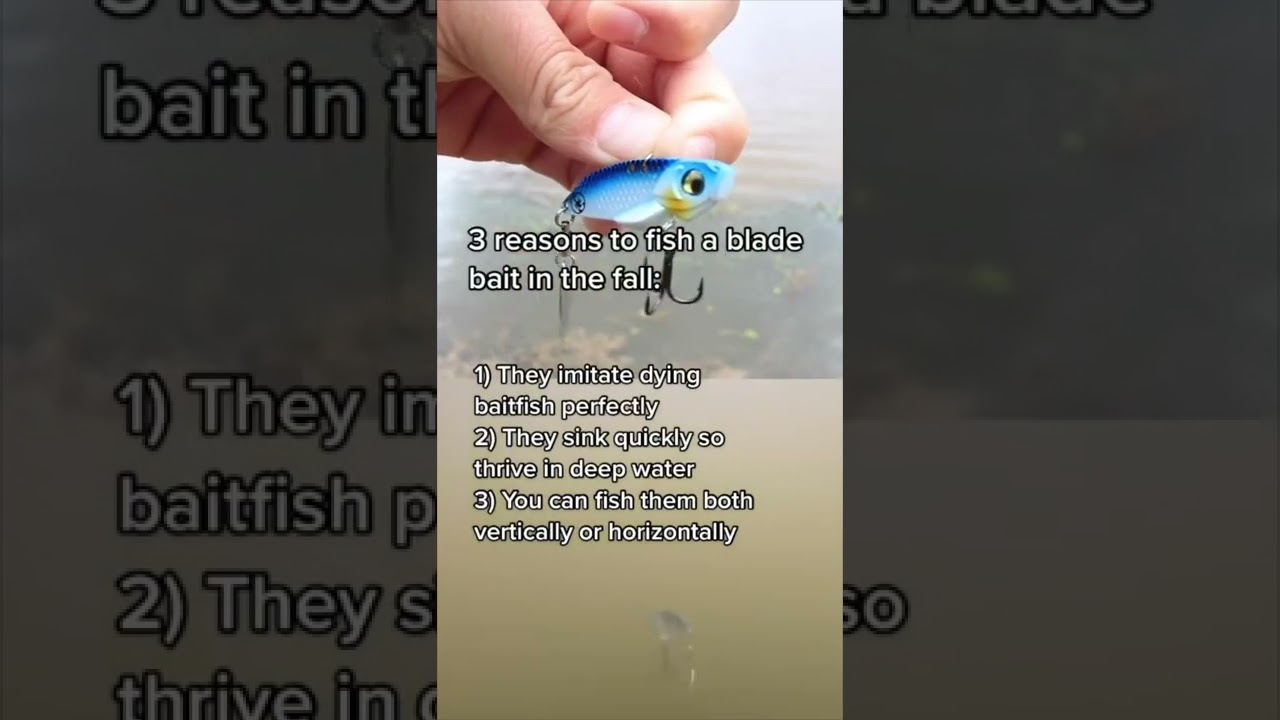 Why You NEED To Fish Blade Baits in the Fall!