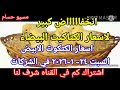 سعر الكتكوت اسعار الكتاكيت اليوم السبت 24 1 2026 في جميع الشركات في مصر 