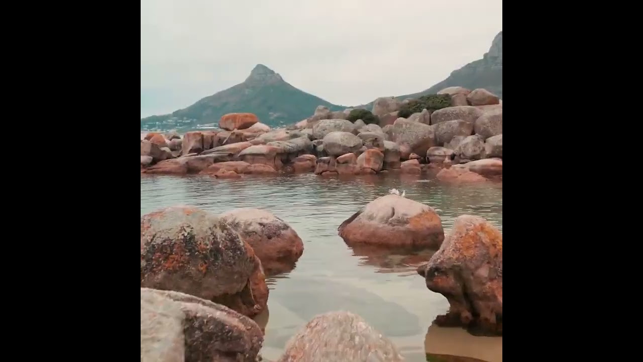 Good Hands - Original Music by Shawn Naprawa