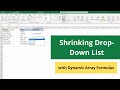 Shrinking Drop-Down List using Dynamic Array Formulas