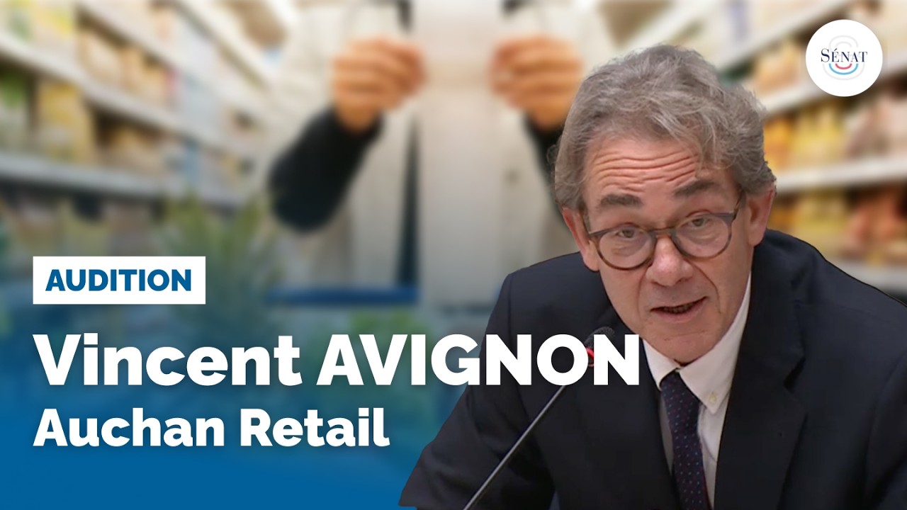 Grande distribution : Audition de Vincent Avignon (Auchan Retail)