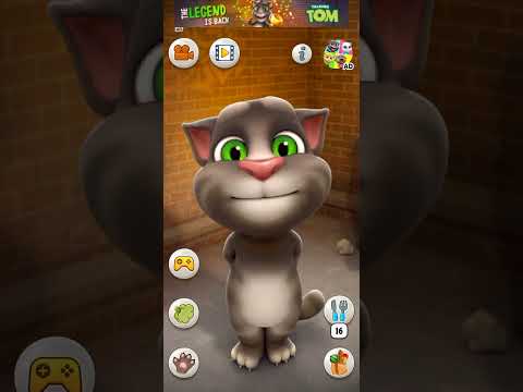 Talking Tom Cat