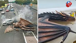 Download Lagu Dunia Sudah Gak Aman !! Mahluk-Mahluk Aneh Ini Terus Berjatuhan, Ilmuwan Tak  Bisa Menjelaskannya! MP3