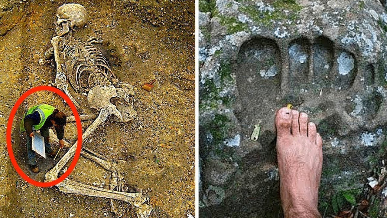 Le scoperte piu terrificanti ,ai fatte nella giungla!