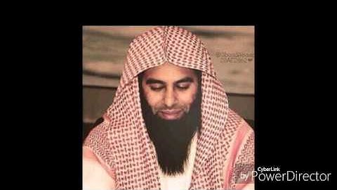 القارئ ـ الشيخ انس العمادي ـ من سورة الانبياء