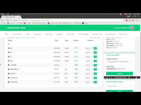 Testing HiddenCoder Shell