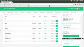 Testing HiddenCoder Shell