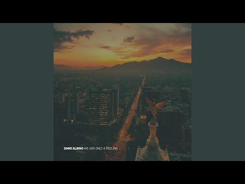Simio Albino - Missing You