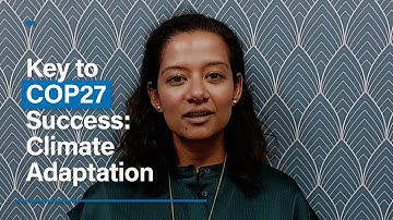 Key to COP27 Success: Climate Adaptation