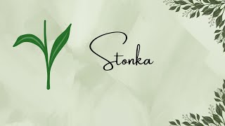 Stonka