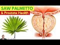  warning the nasty sideeffect of saw palmetto use for prostate health bph  by dr sam robbins