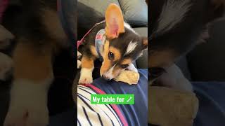 Moms Lap Is The Best