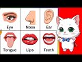 Body parts names song | learn parts of body | body parts rhymes babies | learning video for toddlers