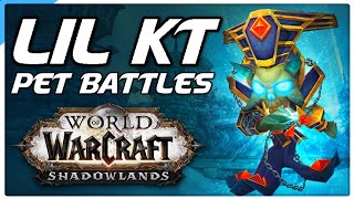 Lil' K.T. Pet Battle PvP! World of Warcraft Shadowlands Competitive WoW Battle Pet Guide!