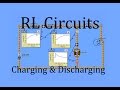 Understanding RL Circuits
