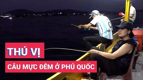 Thú vị câu mực đêm ở Phú Quốc