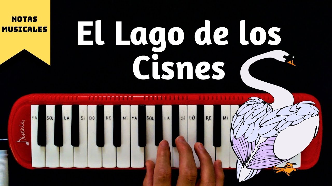 Tutorial // Cómo tocar 