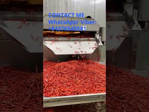 IQF FROZEN CHILLI