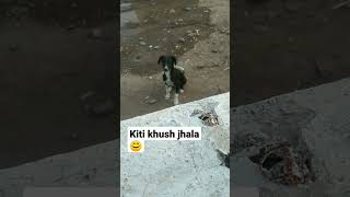 Kiti divsane gele tyamule kalu🐕 kiti khush jhala🤗 Pranyana jiv lavlel kdhi changl☹️ Like \u0026 Subscribe