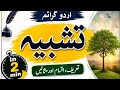 Tashbeeh explanation with example | urdu grammar topic | #class #tashbeeh #urdu #fbise
