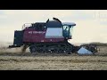 VL.ru - Уборка риса в Приморском крае