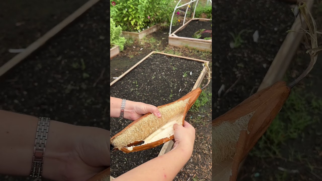 Uploads from From Seed to Spoon Garden Planning App