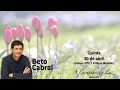 A Vontade - Beto Cabral