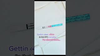 Ovulation Testing to Get Pregnant Faster - Premom Ovulation Calculator - Ovulation Day