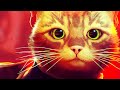 BİR KEDİNİN HAYATINA HOŞ GELDİNİZ! - STRAY TÜRKÇE BÖLÜM 1