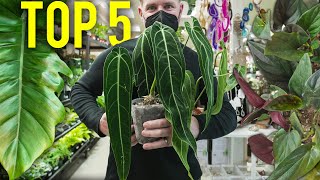 Top 5 Favorite Plants For EVERYONE!