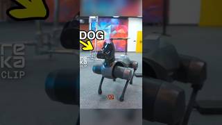 ₹2.5 LAKH का Robot Dog! 🤯 India में आ गया Future! 🐕🤑 #shorts #viral #robotdog