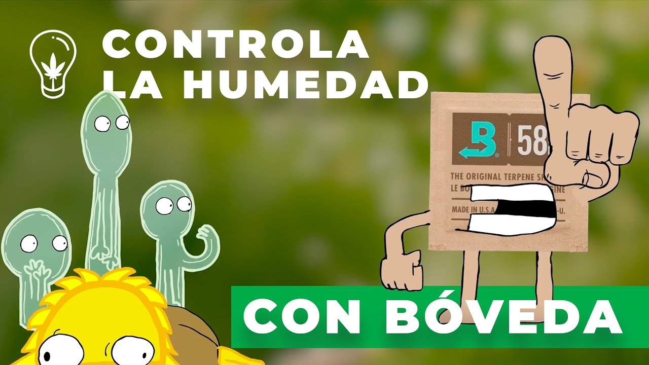 Sobres Boveda 4gr - Comprar sobres control humedad