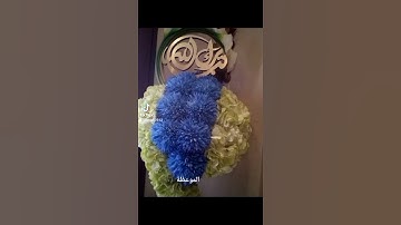 فضل القرآن الكريم الشيخ سعود الشريم
