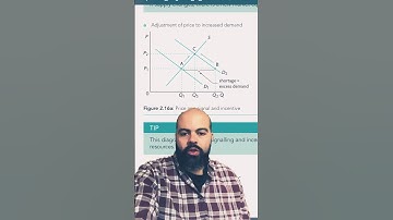 Signaling, incentive, and rationing functions of the price mechanism! #ibeconomics