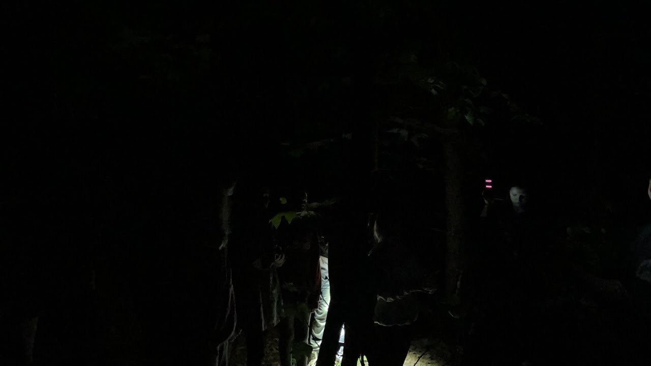 Live Bigfoot and Paranormal Hunt with a Basketball Team! YouTube