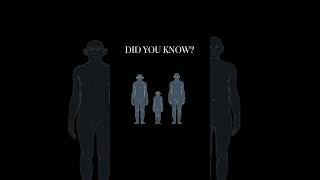 Mind-Blowing Facts About Our Extinct Relatives